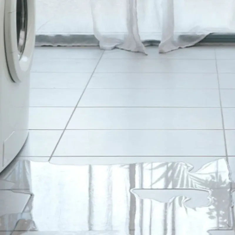 Appliance Leak Cleanup in Wakeman, OH