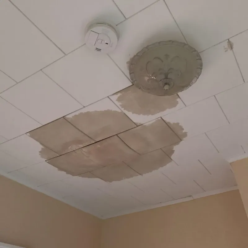 Ceiling Water Damage Repair in Wakeman, OH
